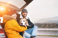 Father and son with beagle dog siting together in car trunk and stock photography Father and son with beagle dog siting together in car trunk and stock photography