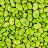 Fava ou fond ou modèle de fève. image stock Fava ou fond ou modèle de fève. image stock