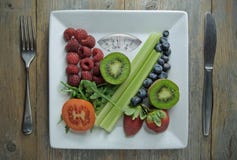 Faça dieta o conceito Imagem de Stock Faça dieta o conceito Imagem de Stock
