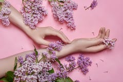 Façonnez à des mains d'art les femmes naturelles de cosmétiques, fleurs lilas pourpres lumineuses à disposition avec le maquillag photos stock Façonnez à des mains d'art les femmes naturelles de cosmétiques, fleurs lilas pourpres lumineuses à disposition avec le maquillag photos stock