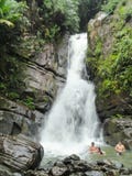 16 februari, 2015: Het Nationale Regenwoud van Gr Yunque, Puerto Rico, Verenigde Staten royalty-vrije stock foto 16 februari, 2015: Het Nationale Regenwoud van Gr Yunque, Puerto Rico, Verenigde Staten royalty-vrije stock foto