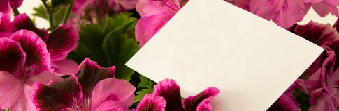 Feche acima das flores frescas bonitas com o cartão para o dia de mãe, presente do agradecimento imagem de stock Feche acima das flores frescas bonitas com o cartão para o dia de mãe, presente do agradecimento imagem de stock