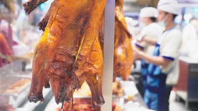 Feche acima das partes da galinha, no fundo que cozinha, praça da alimentação asiática video estoque Feche acima das partes da galinha, no fundo que cozinha, praça da alimentação asiática video estoque