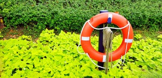 Feche acima do colete salva-vidas de borracha alaranjado no jardim com fundo verde de muitas folhas e copie o espaço fotografia de stock Feche acima do colete salva-vidas de borracha alaranjado no jardim com fundo verde de muitas folhas e copie o espaço fotografia de stock