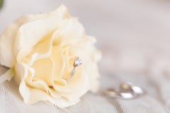 Fedi nuziali di oro bianco e dell'anello di angage fotografie stock Fedi nuziali di oro bianco e dell'anello di angage fotografie stock