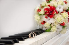 Fedi nuziali sul piano fotografie stock libere da diritti Fedi nuziali sul piano fotografie stock libere da diritti