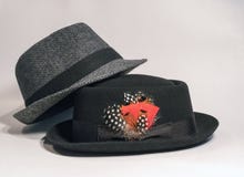 fedoras obraz royalty free fedoras obraz royalty free