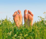 Feet in a green grass stock photo Feet in a green grass stock photo