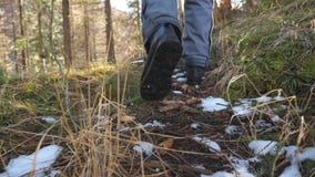 Feet of unrecognizable male tourist walking on beautiful mountain pine forest on sunny day. Young hiker going on path in