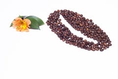 Feijões de café alinhados dos feijões de café pequenos e de uma flor alaranjada do hibiscus em um fundo branco, espaço da cópia, imagem de stock Feijões de café alinhados dos feijões de café pequenos e de uma flor alaranjada do hibiscus em um fundo branco, espaço da cópia, imagem de stock