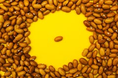 Feijões em um fundo amarelo imagem de stock Feijões em um fundo amarelo imagem de stock