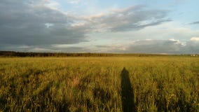 Feld, Himmel, Wald und Schatten stockfoto Feld, Himmel, Wald und Schatten stockfoto