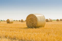 Feld mit Strohballen stockfotografie Feld mit Strohballen stockfotografie