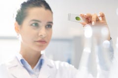 Feldbiologe, der Laboranalyse durchführt stockfoto Feldbiologe, der Laboranalyse durchführt stockfoto