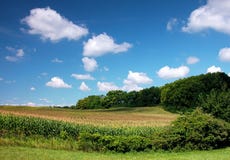 Felder mit Wolken Felder mit Wolken
