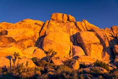 Felsformation, Klippen und Flusssteine glühen orange und Gold im Glättungslicht des Sonnenuntergangs bei Joshua Tree National Par stockfotos Felsformation, Klippen und Flusssteine glühen orange und Gold im Glättungslicht des Sonnenuntergangs bei Joshua Tree National Par stockfotos