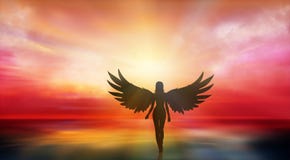 Beautiful girl with angel wings walking on the seashore at sunset royalty free illustration Beautiful girl with angel wings walking on the seashore at sunset royalty free illustration