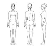 Female body