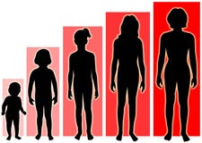 Female Growth Stages
