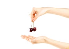 The female hand holds two red cherry berries. Isolated on white royalty free stock image The female hand holds two red cherry berries. Isolated on white royalty free stock image