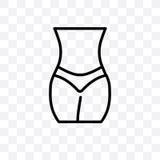Female hips and waist vector linear icon isolated on transparent background, Female hips and waist transparency concept can be use royalty free illustration Female hips and waist vector linear icon isolated on transparent background, Female hips and waist transparency concept can be use royalty free illustration