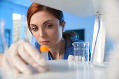 Female scientist working with sample in chemistry laboratory stock photos Female scientist working with sample in chemistry laboratory stock photos