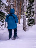 Female snowshoeing in winter, portrait orientation Royalty Free Stock Image Female snowshoeing in winter, portrait orientation Royalty Free Stock Image