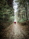Femme avec le parapluie rouge posant dans le paysage d'automne photographie stock Femme avec le parapluie rouge posant dans le paysage d'automne photographie stock