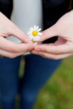 Femme avec une fleur dans sa main Photographie stock Femme avec une fleur dans sa main Photographie stock