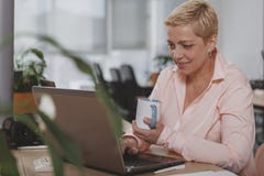 Femme d'affaires m?re travaillant au bureau image libre de droits Femme d'affaires m?re travaillant au bureau image libre de droits