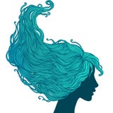 Femme dans la vue de profil avec le long cheveu illustration stock Femme dans la vue de profil avec le long cheveu illustration stock