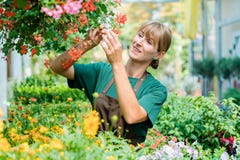 Femme de jardinier dans son magasin prenant soin de quelques fleurs photos libres de droits Femme de jardinier dans son magasin prenant soin de quelques fleurs photos libres de droits