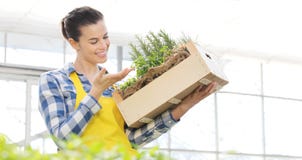 Femme de sourire avec la boîte en bois complètement d'herbes d'épice sur le fond blanc, jardin de ressort image stock Femme de sourire avec la boîte en bois complètement d'herbes d'épice sur le fond blanc, jardin de ressort image stock