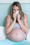 Femme enceinte soufflant son nez Images libres de droits Femme enceinte soufflant son nez Images libres de droits