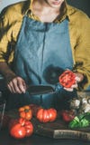 Femme faisant cuire la sauce tomate ou les pâtes au comptoir de cuisine photo libre de droits Femme faisant cuire la sauce tomate ou les pâtes au comptoir de cuisine photo libre de droits
