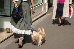 Femme marchant avec le chien mignon en parc images stock Femme marchant avec le chien mignon en parc images stock
