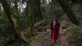 Femme marchant sur une traînée par le verger d'if-buis, forêt verte dans Khosta banque de vidéos Femme marchant sur une traînée par le verger d'if-buis, forêt verte dans Khosta banque de vidéos