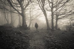 Femme perdue dans la forêt foncée Photographie stock Femme perdue dans la forêt foncée Photographie stock