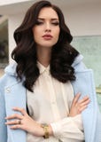 Femme sensuelle magnifique avec les cheveux foncés dans des vêtements élégants photos stock Femme sensuelle magnifique avec les cheveux foncés dans des vêtements élégants photos stock