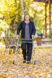 Femme supérieure marchant dehors avec le marcheur en parc d'automne Photo stock Femme supérieure marchant dehors avec le marcheur en parc d'automne Photo stock