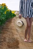 Femme tenant un chapeau en osier à côté d'un gisement de tournesol photographie stock libre de droits Femme tenant un chapeau en osier à côté d'un gisement de tournesol photographie stock libre de droits