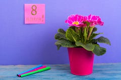 Femmes ` s jour 8 mars international Rappel, feuilles sur le fond lumineux Bouquet des fleurs sur la table en bois Photographie stock libre de droits Femmes ` s jour 8 mars international Rappel, feuilles sur le fond lumineux Bouquet des fleurs sur la table en bois Photographie stock libre de droits