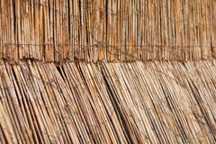 Fence from cane with light from behind Royalty Free Stock Photo Fence from cane with light from behind Royalty Free Stock Photo