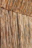 Fence from cane with light from behind Royalty Free Stock Image Fence from cane with light from behind Royalty Free Stock Image
