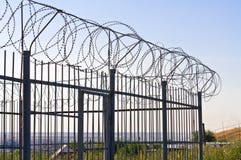 Fence Of Barbed Wire Stock Photo
