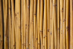 Fencing Bamboo Panel Stock Photography