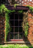 Fenster mit Reben herein und heraus stockfoto Fenster mit Reben herein und heraus stockfoto