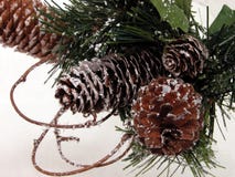 Feriado & sazonal: Cone do pinho do Natal & neve artificial fotografia de stock royalty free Feriado & sazonal: Cone do pinho do Natal & neve artificial fotografia de stock royalty free