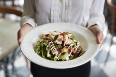 Fermez-vous de la salade de poulet de Holding Plate Of de serveuse dans le restaurant images libres de droits Fermez-vous de la salade de poulet de Holding Plate Of de serveuse dans le restaurant images libres de droits