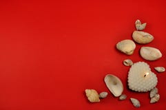 Fermez-vous vers le haut de la configuration d'appartement du coeur et des seashels blancs brûlants de bougie sur le fond rouge C image libre de droits Fermez-vous vers le haut de la configuration d'appartement du coeur et des seashels blancs brûlants de bougie sur le fond rouge C image libre de droits